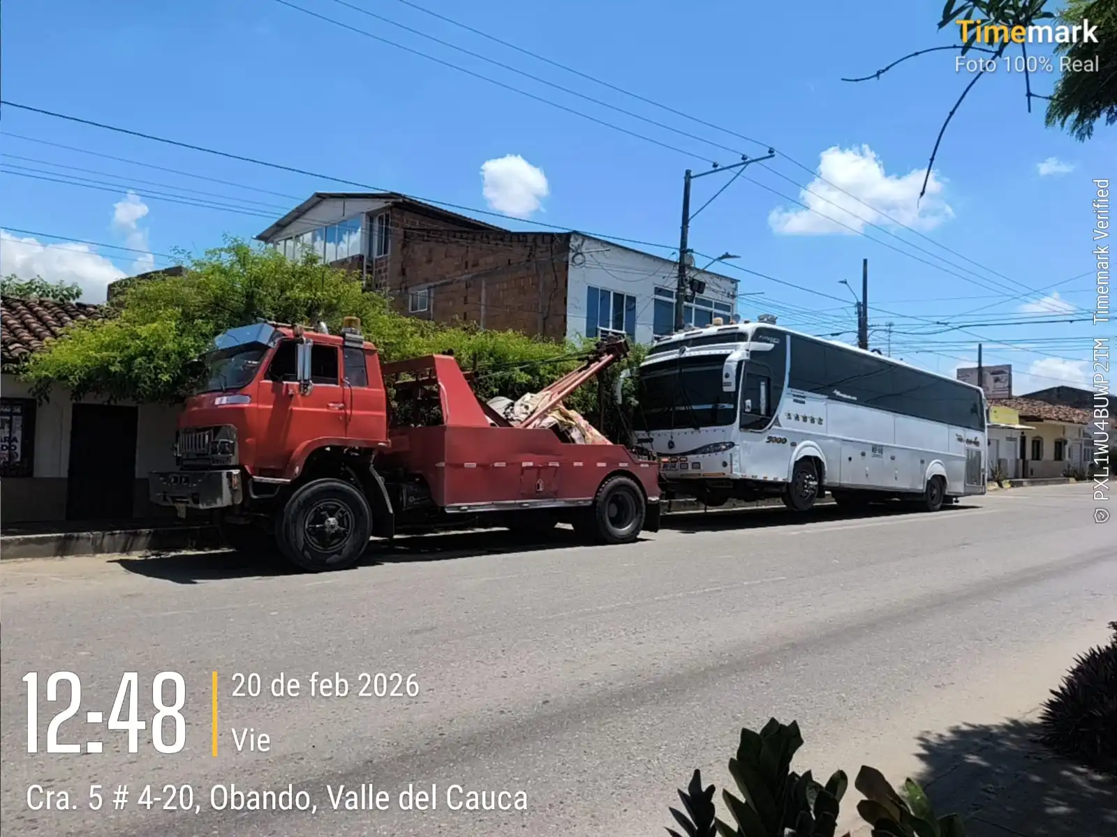Servicio especializado de grúa gancho para mover bus.